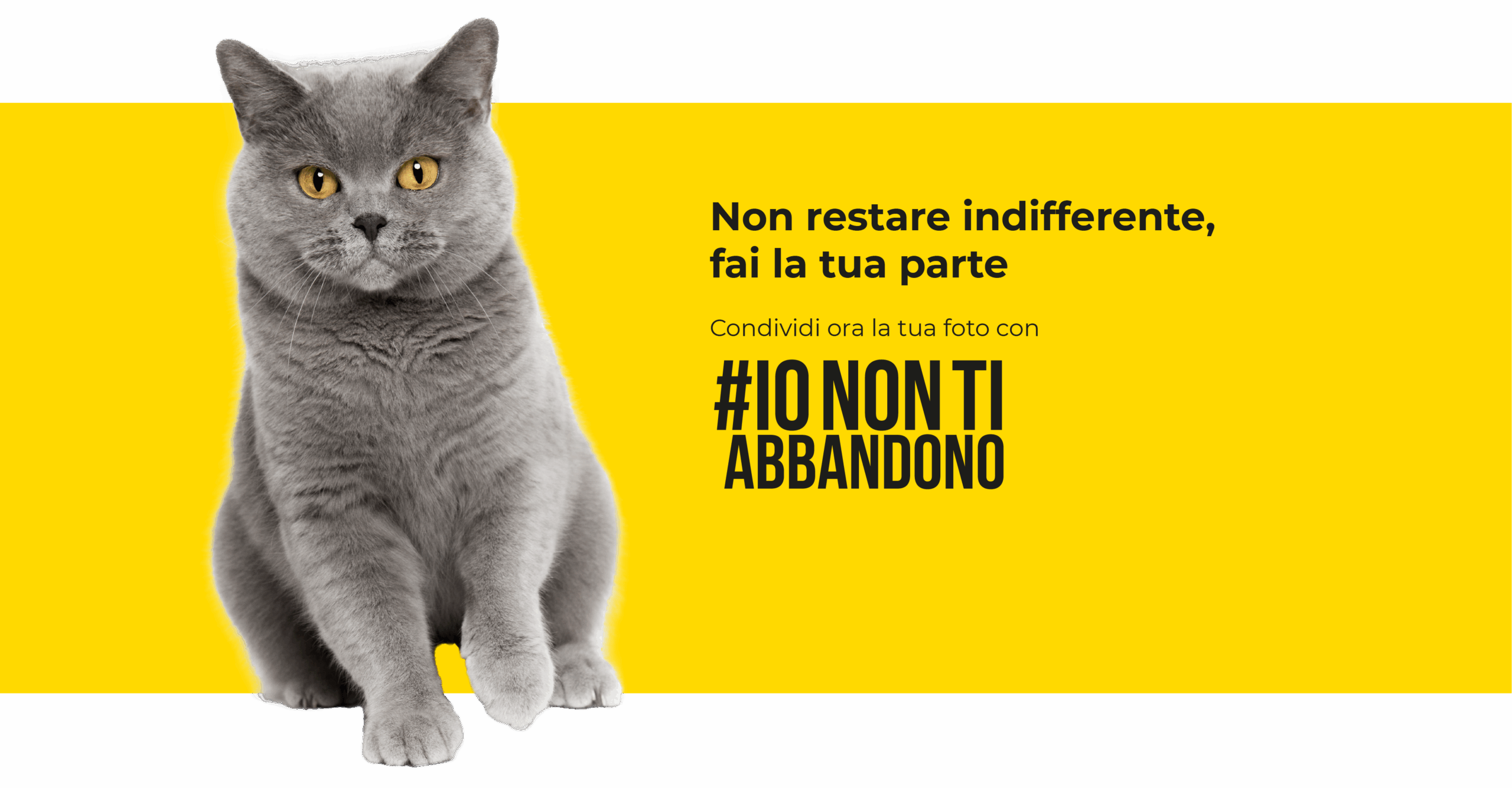#IONONTIABBANDONO
